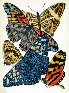 Art Deco Butterfly Illustrations from Historical Sources, Antique Print Set