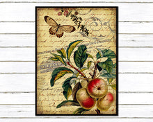 Load image into Gallery viewer, Apple and Butterfly Shabby Chic Collage Print
