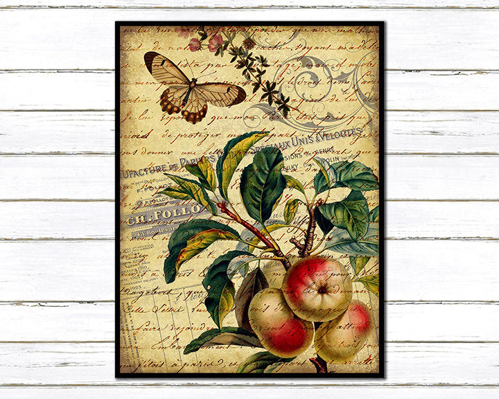 Apple and Butterfly Shabby Chic Collage Print