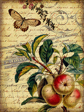 Load image into Gallery viewer, Apple and Butterfly Shabby Chic Collage Print
